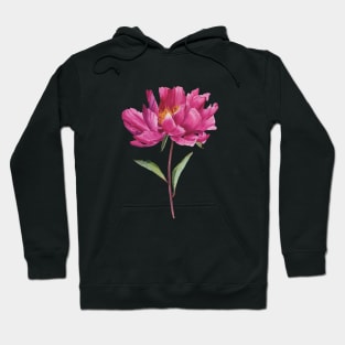 Watercolor pink peony painting Hoodie